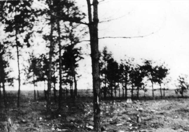 oboz zagłady Treblinka II