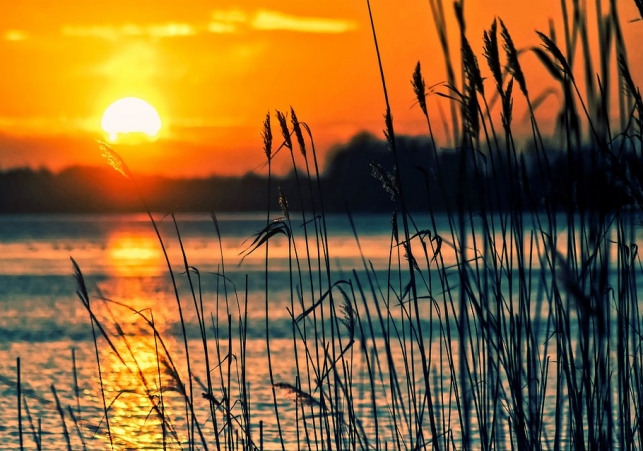 celtowie na kujawach