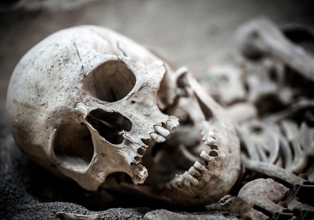 bitwa pod grunwaldem