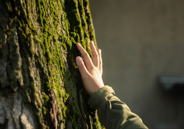 petroglify z kazachstanu