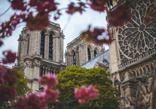 notre dame