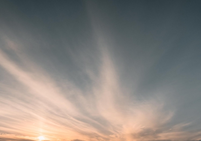 bitwa czołgowa korea