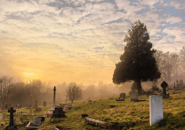 zabytkowe cmentarze
