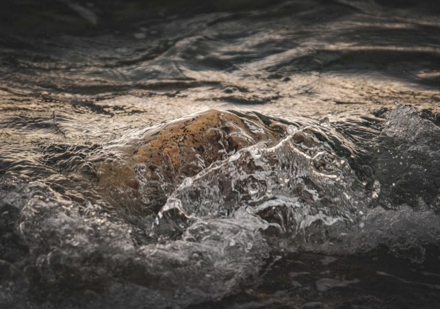 płyn nienewtonowski