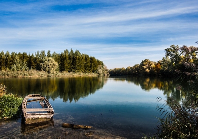 gatunki inwazyjne w polsce