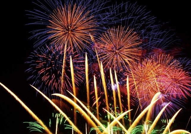 lek zwierzat przed fajerwerkami