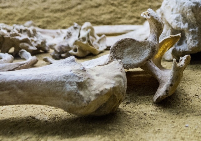 nekropolia z epoki miedzi