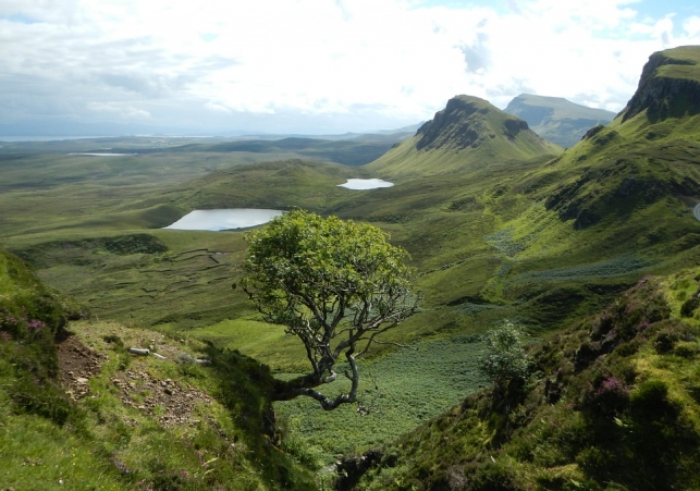 smiglo odkryte w szkocji