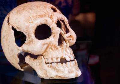 cmentarzysko wikingow