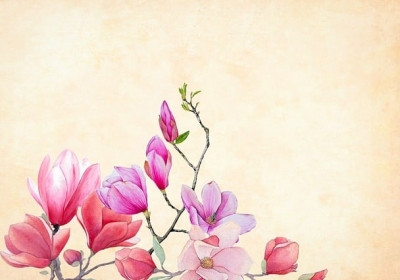 Rośliny okrytonasienne