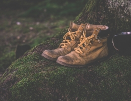 pexels-photo-167706_zmien rozmiary