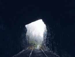 pexels-photo-249097_zmien rozmiary