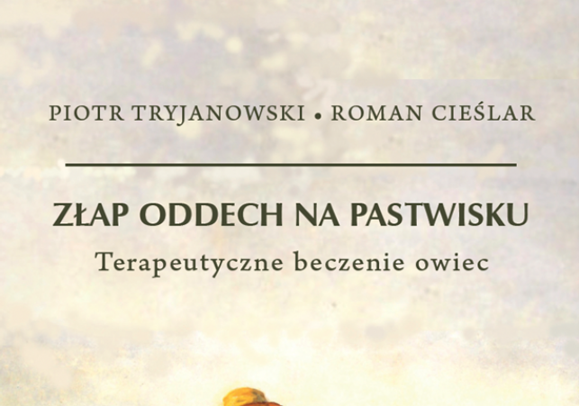 Złap oddech na pastwisku. Terapeutyczne beczenie owiec
